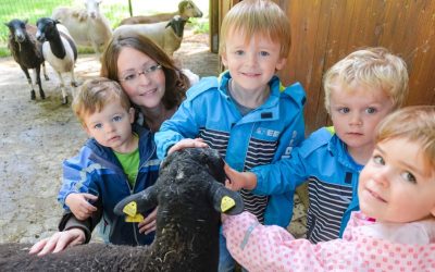 Auf dem Tenwinkelshof lernen Kinder die Tiere kennen