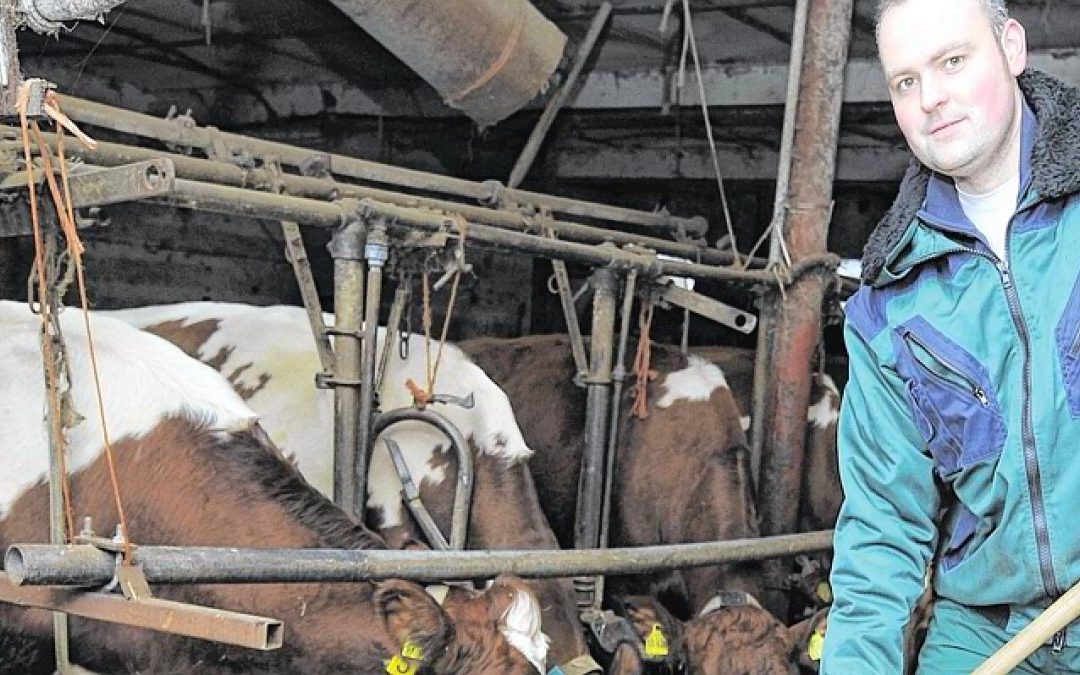 Landwirt Hans-Dieter Porn versorgt die Milchkühe. Foto: Heiko Kempken/WAZ FotoPool